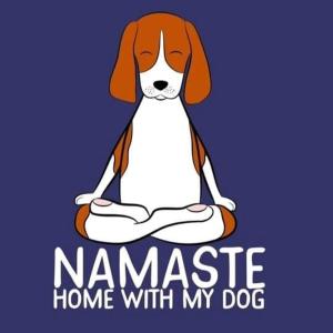 Villa Namasté SPA Hammam port & Mer