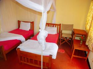 Nguruma house of travellers and tours