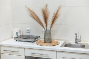 Mini Smart Apartments in city center! SUPER PRICE!!!