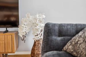 Aaaluxoldtownviewfreeparkingbestlocation