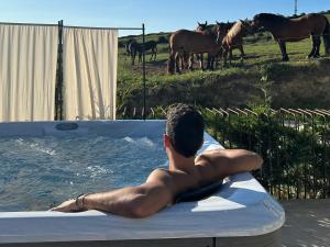Niditas Suites & Horses
