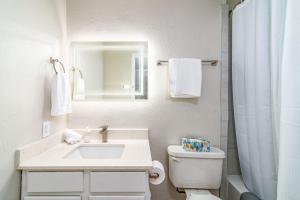 Cozy 1-BR Near Triangle, UT, SXSW & Hyde Park