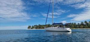 Sunny, velero espacioso