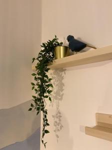 La montagne bleue - Parking privé