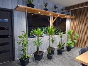 Villa Vip - pokoje,śniadanie,Apartament kinowy, Masaż