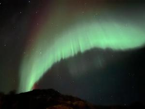Lofoten glampingdome
