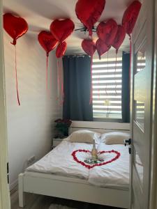 Apartament 2 pokojowy w Centrum Miasta