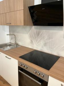 ANER 6 eleganter Loft mit Infrarotsauna in Dresden Weißer Hirsch