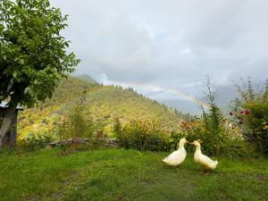 ლენტეხის მთის სასტუმრო - Lentekhi Mountain Inn