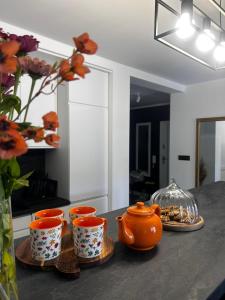 Apartament Ustrzyki Dolne "Dark-Wolf"