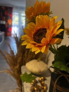 Apartament Ustrzyki Dolne "Dark-Wolf"