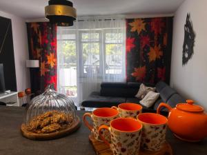 Apartament Ustrzyki Dolne "Dark-Wolf"