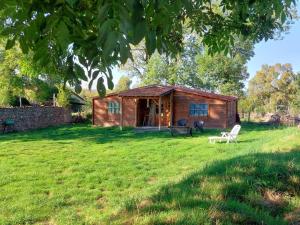 Pause nature au cœur des forêts