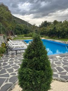 DreamLand Lagodekhi & Wine Cellar