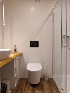 Studio na Wyspie Pasieka