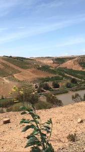 Lake House Boulaouane