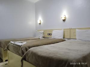 Oscar Hotel Aswan 中國人之家