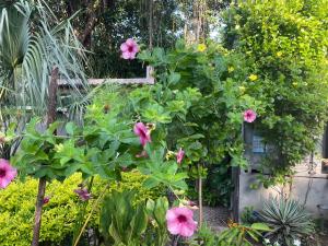 Wabi Sabi , casa de playa