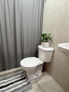 Cómodo departamento