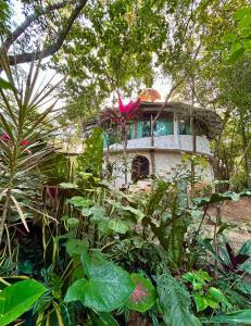 Casa caracol Macario