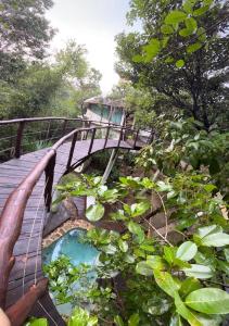 Casa caracol Macario