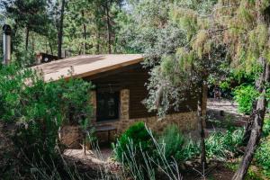 Finca El Lagunazo Riópar