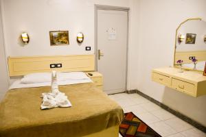 Oscar Hotel Aswan 中國人之家