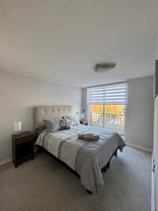 Tu Descanso en el Centro de Puerto Varas