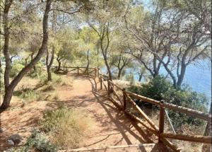 Casita en la playa 5