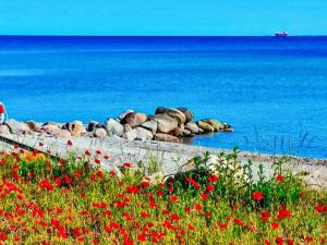 6 person holiday home in Otterup-By Traum