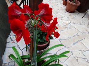 ViLLA MISKOLCTPOLCA,