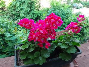 ViLLA MISKOLCTPOLCA,