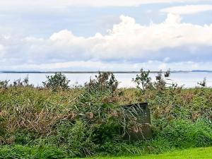 4 star holiday home in Farsø-By Traum