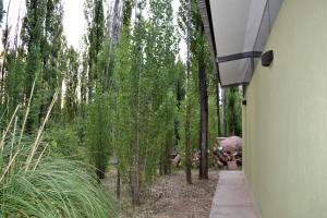 Casa Puentes Amarillos