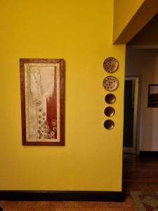 Exclusive Diamond Junin