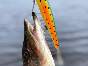 7 person holiday home in KIL