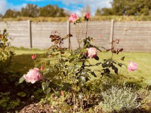 4 star holiday home in TVÄRRED