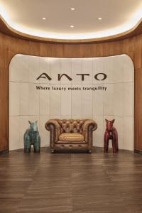 ANTO, Formerly Paraspara Seoul