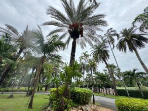 Saenpalm training home แสนปาล์ม เทรนนิ่ง โฮม