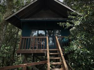 Permai Rainforest Resort