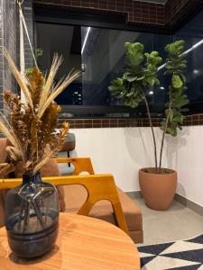 Apartamento no centro COP30