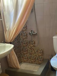 Pandoras House Arachova