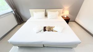 Saenpalm training home แสนปาล์ม เทรนนิ่ง โฮม