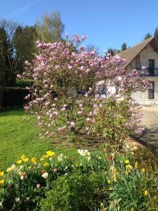 Maisons de vacances Serenity : photos des chambres