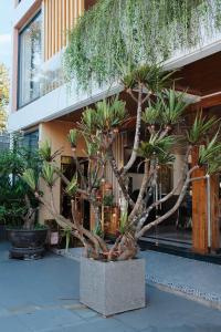 Êm Villa 8 Bedrooms with Swimming Pool