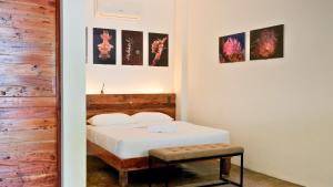 Critter Republic Dive Resort