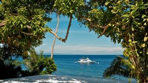 Critter Republic Dive Resort