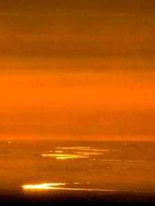 Rudra Home stay l On heritage Market kasauli l Best food Cafe Rudra l Kasauli