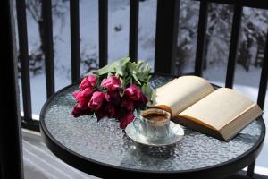 Eikon Apartments Abastumani