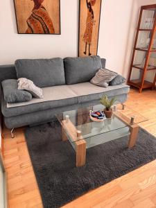 Apartma Galjevica 